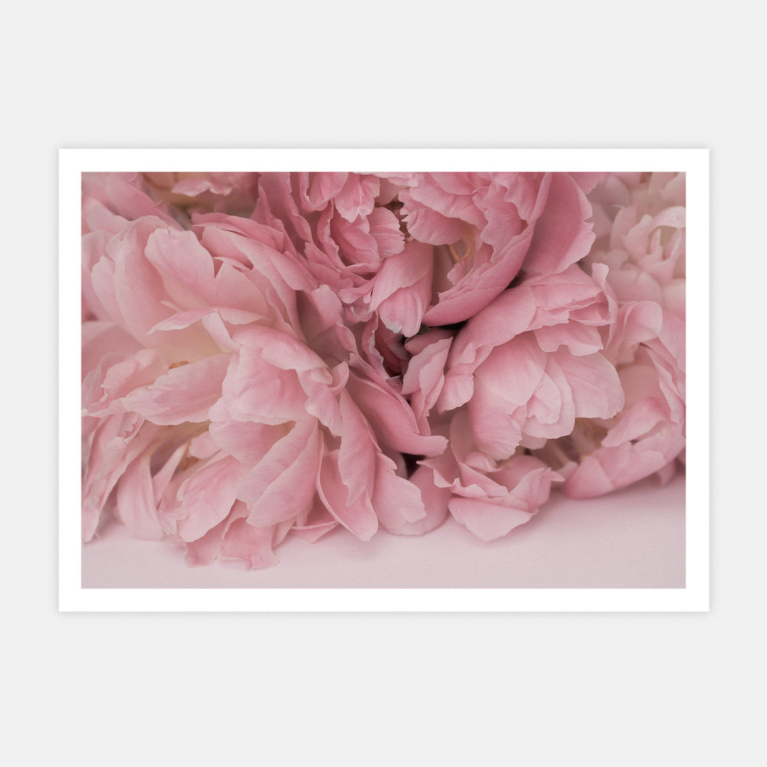 Blush Pink Flower 1