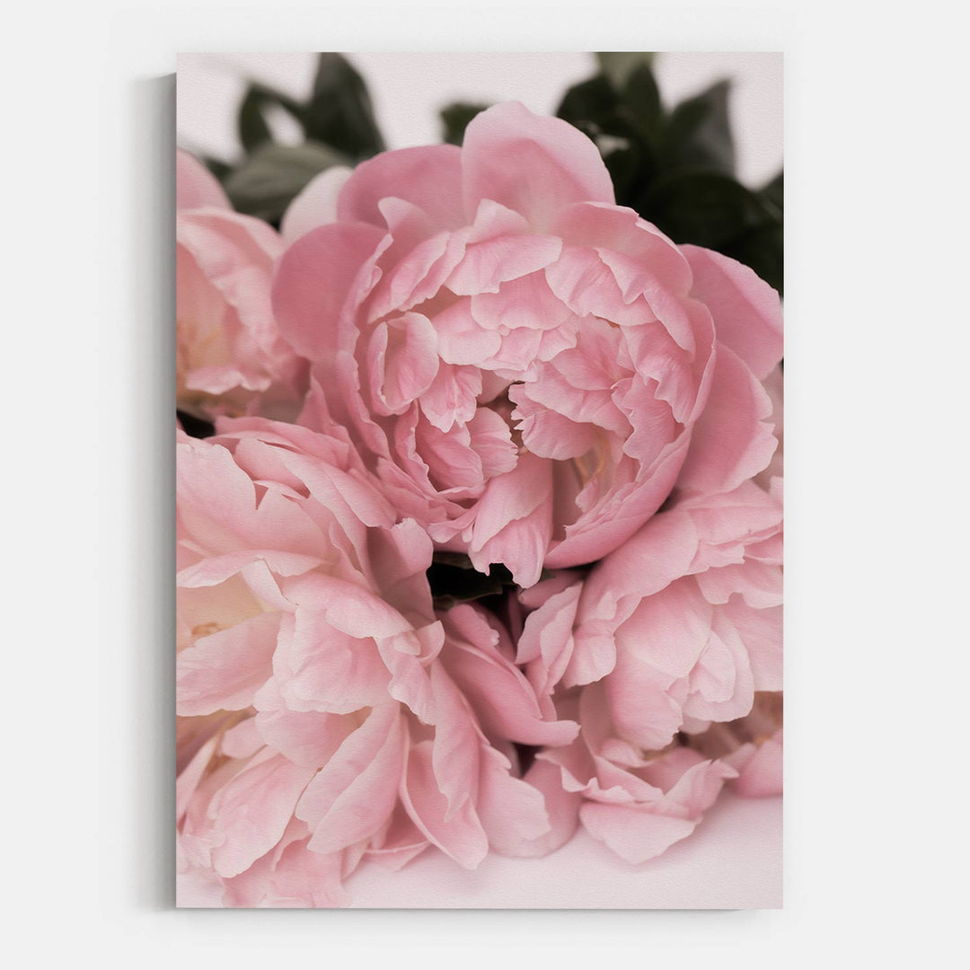Blush Pink Flower 2