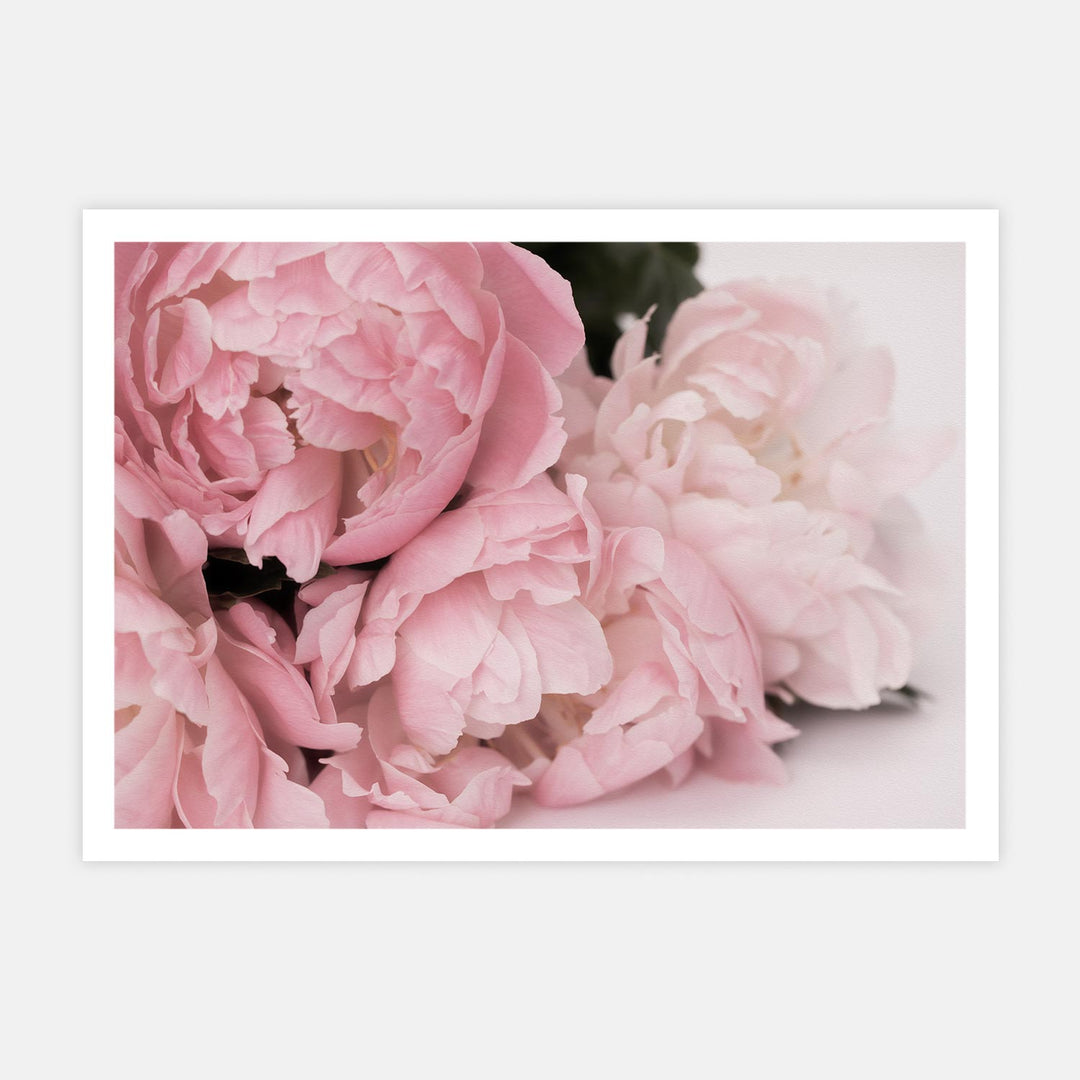 Blush Pink Flower 4