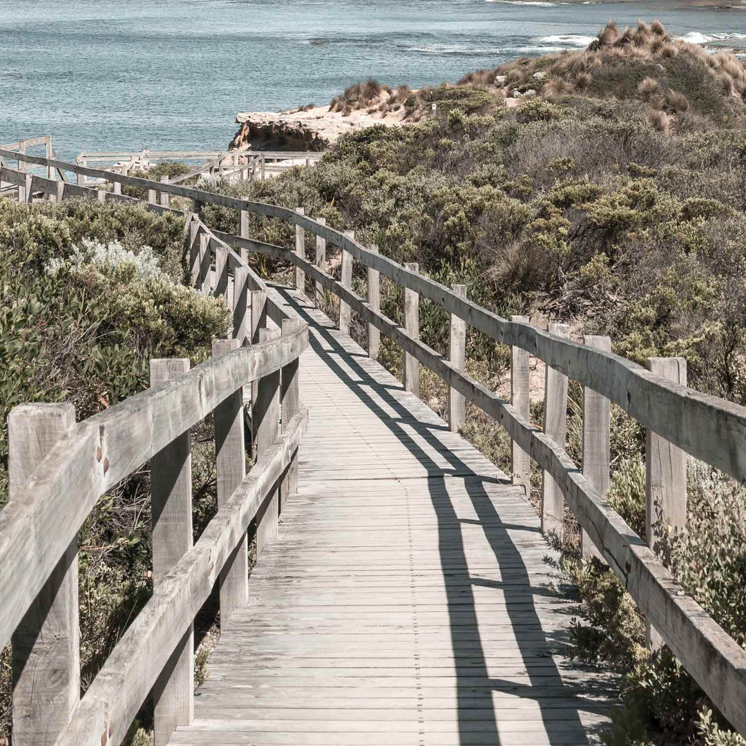 Boardwalk