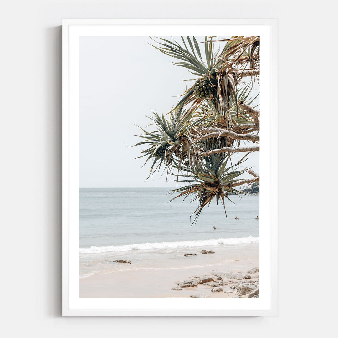 Pandanus Breeze