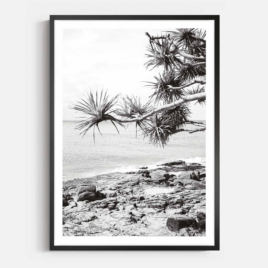 Pandanus II