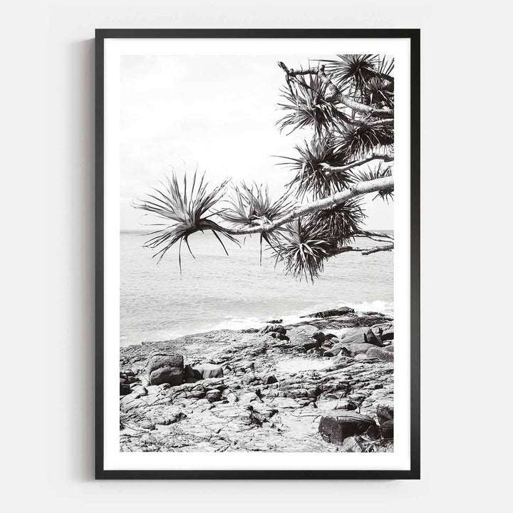 Pandanus II