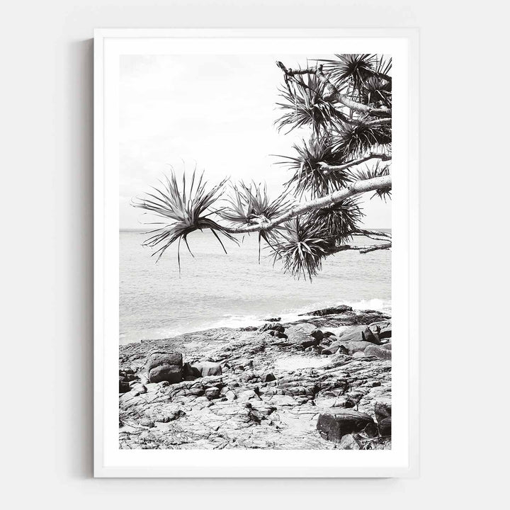 Pandanus II