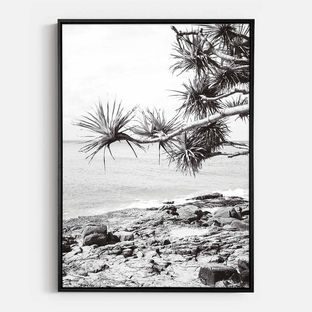 Pandanus II
