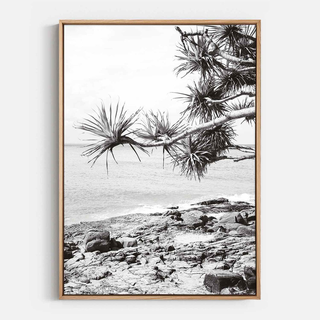 Pandanus II