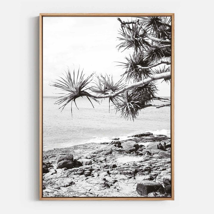 Pandanus II