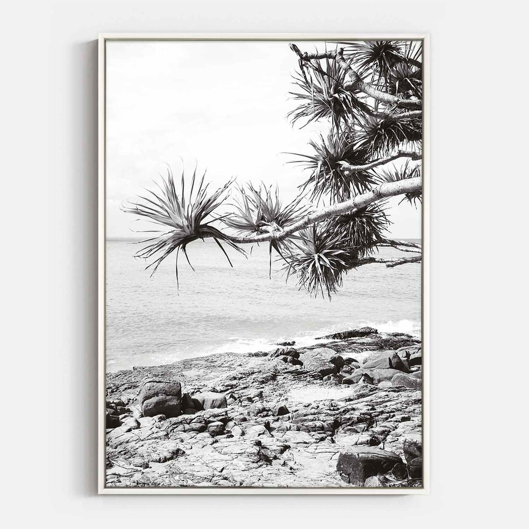 Pandanus II