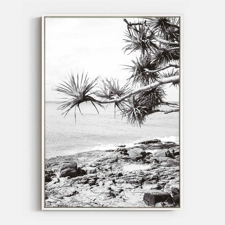 Pandanus II