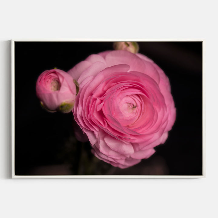 Pink Flower 5
