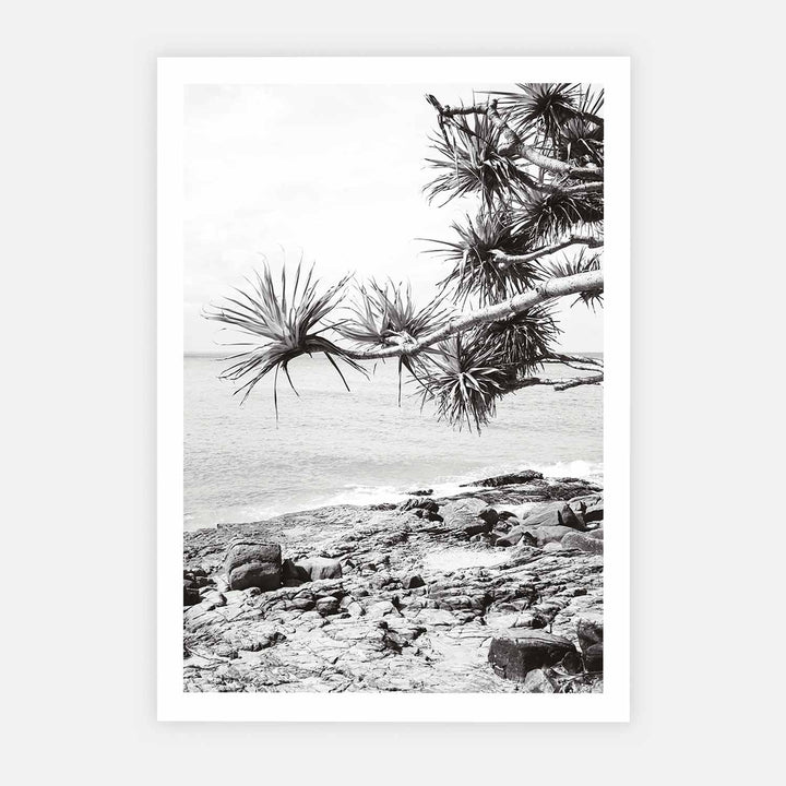 Pandanus II