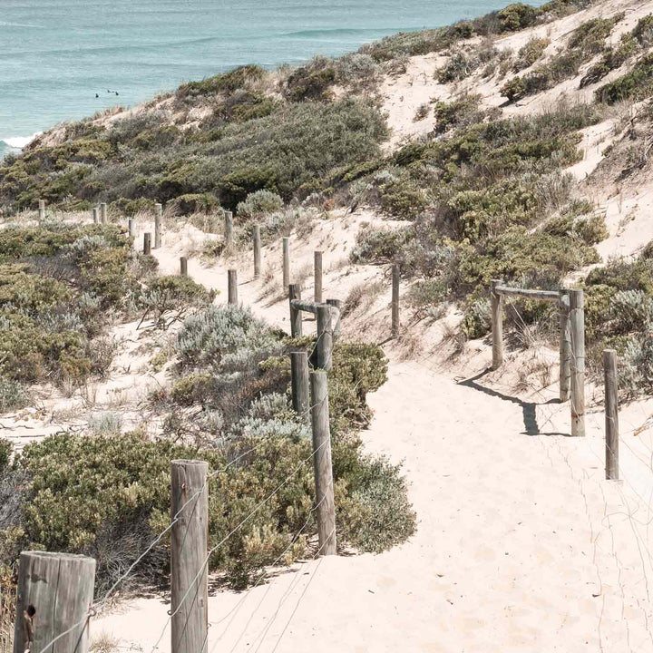 Sandy Path