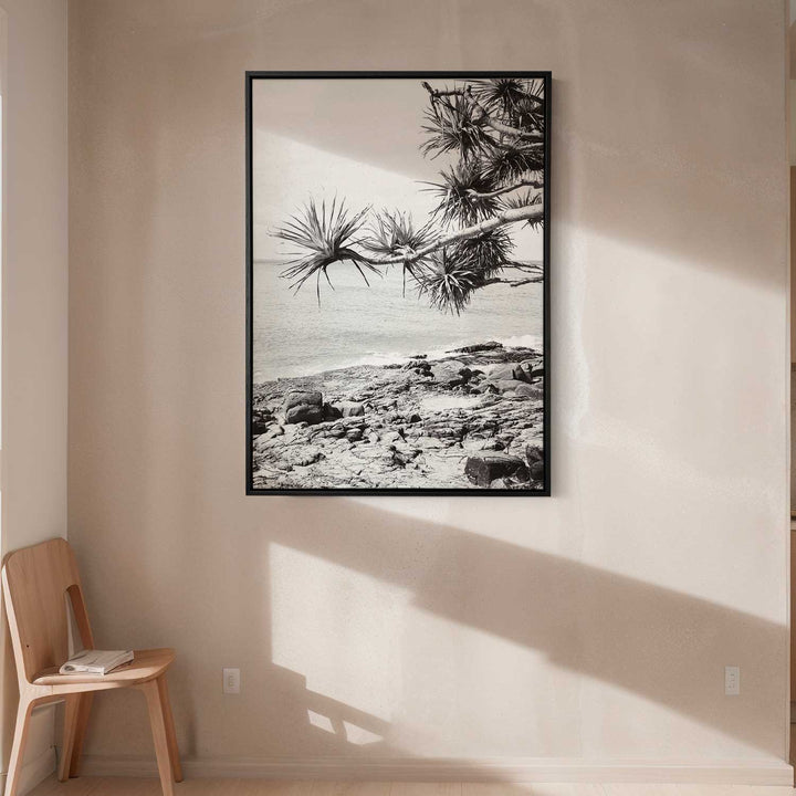 Pandanus II