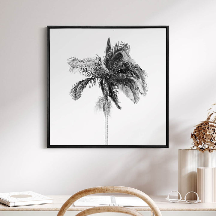 Palm Tree