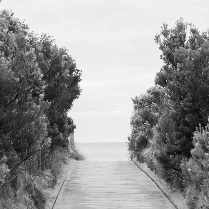 Coastal Entrance