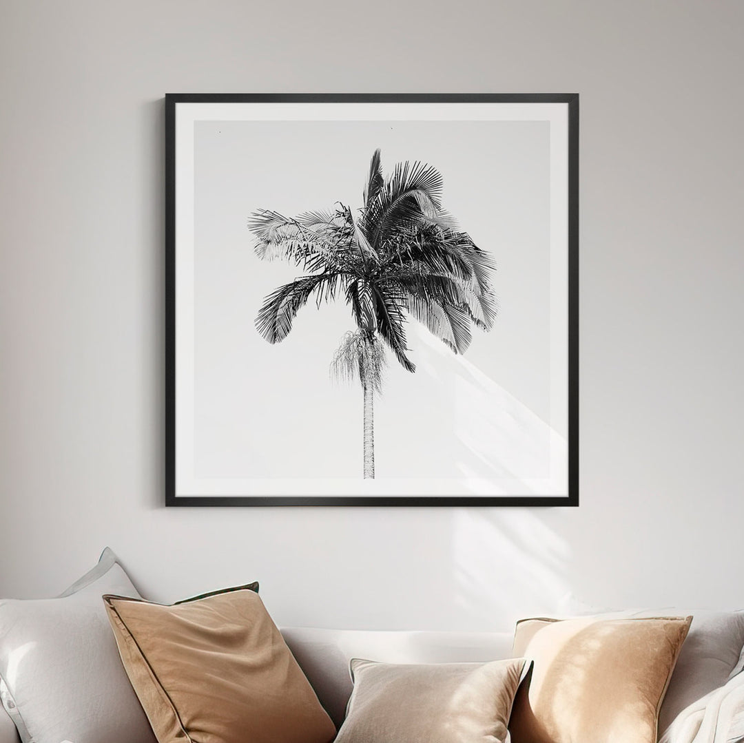 Palm Tree
