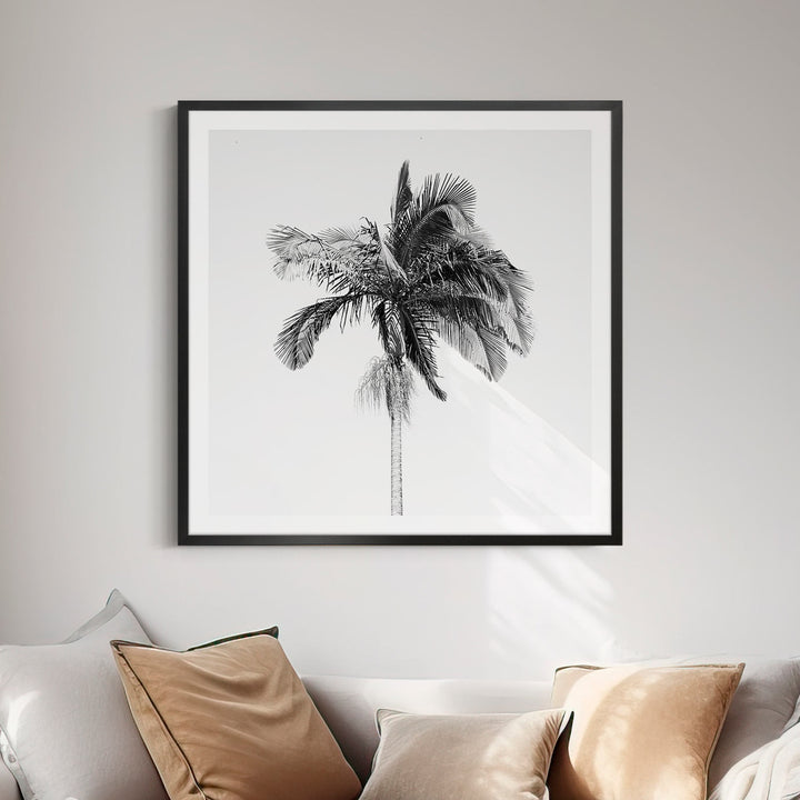 Palm Tree