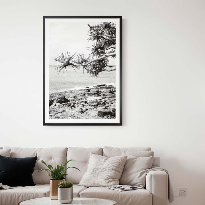 Pandanus II